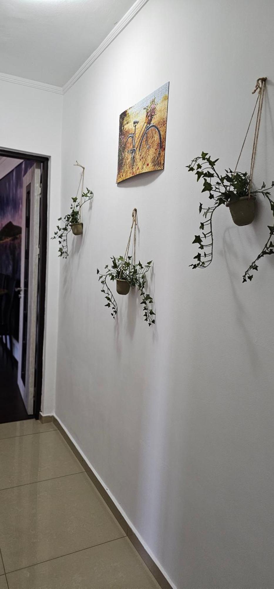 Dorian Apart Constanta Luaran gambar
